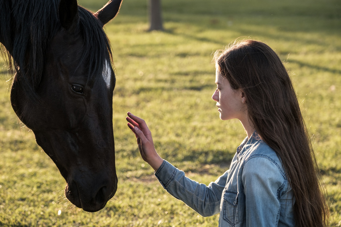 Black Beauty, su piattaforma Disney+ l’adattamento del classico