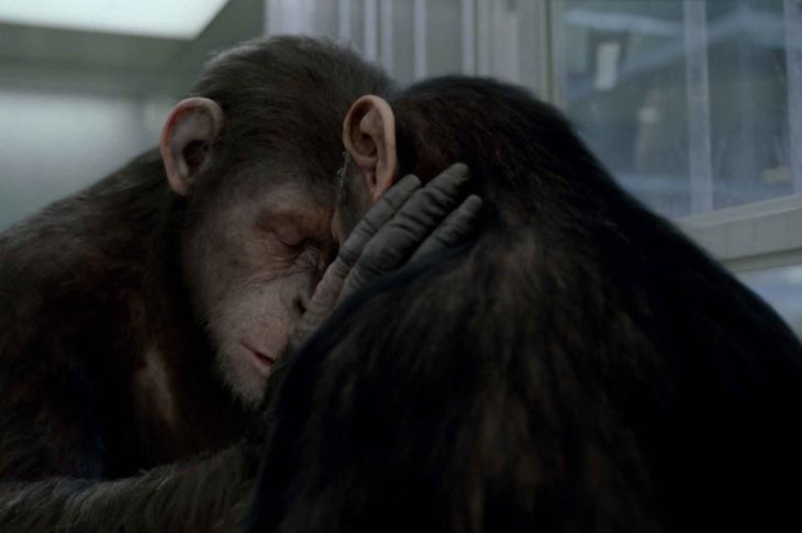 L’alba del pianeta delle scimmie: trailer, trama e cast del prequel con James Franco