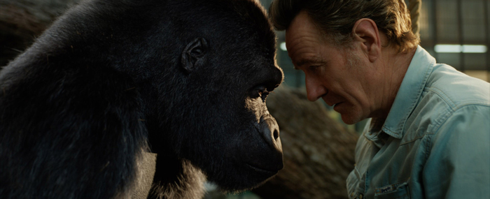 Il gorilla e l’elefante, da Disney natura e star