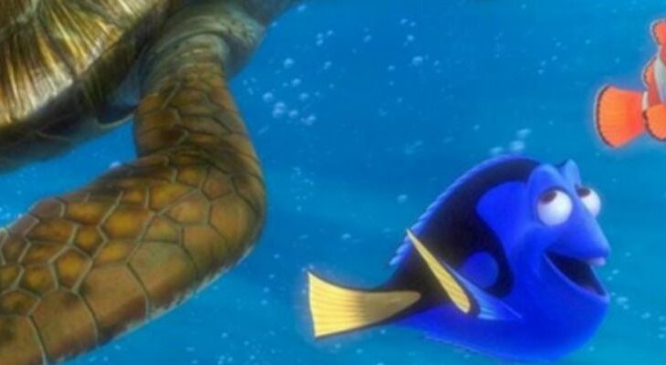 Alla ricerca di Nemo, trailer trama e curiosità sul film Pixar vincitore di un Oscar